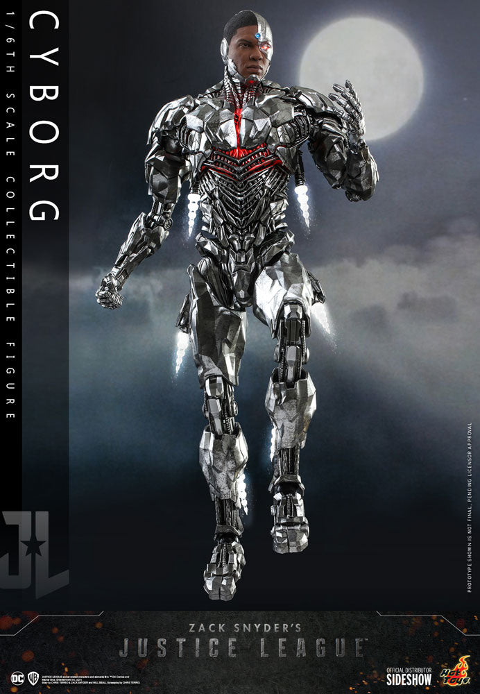 Hot Toys Cyborg 1/6 Scale Figure