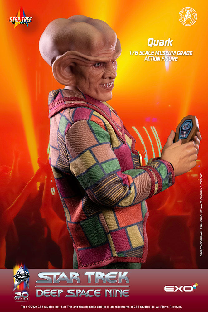 Quark Sixth Scale Figure by EXO-6