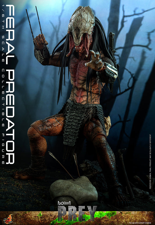 Feral Predator 1/6 Scale Figure by Hot Toys