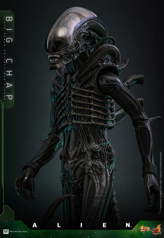 Big Chap Sixth Scale Figure