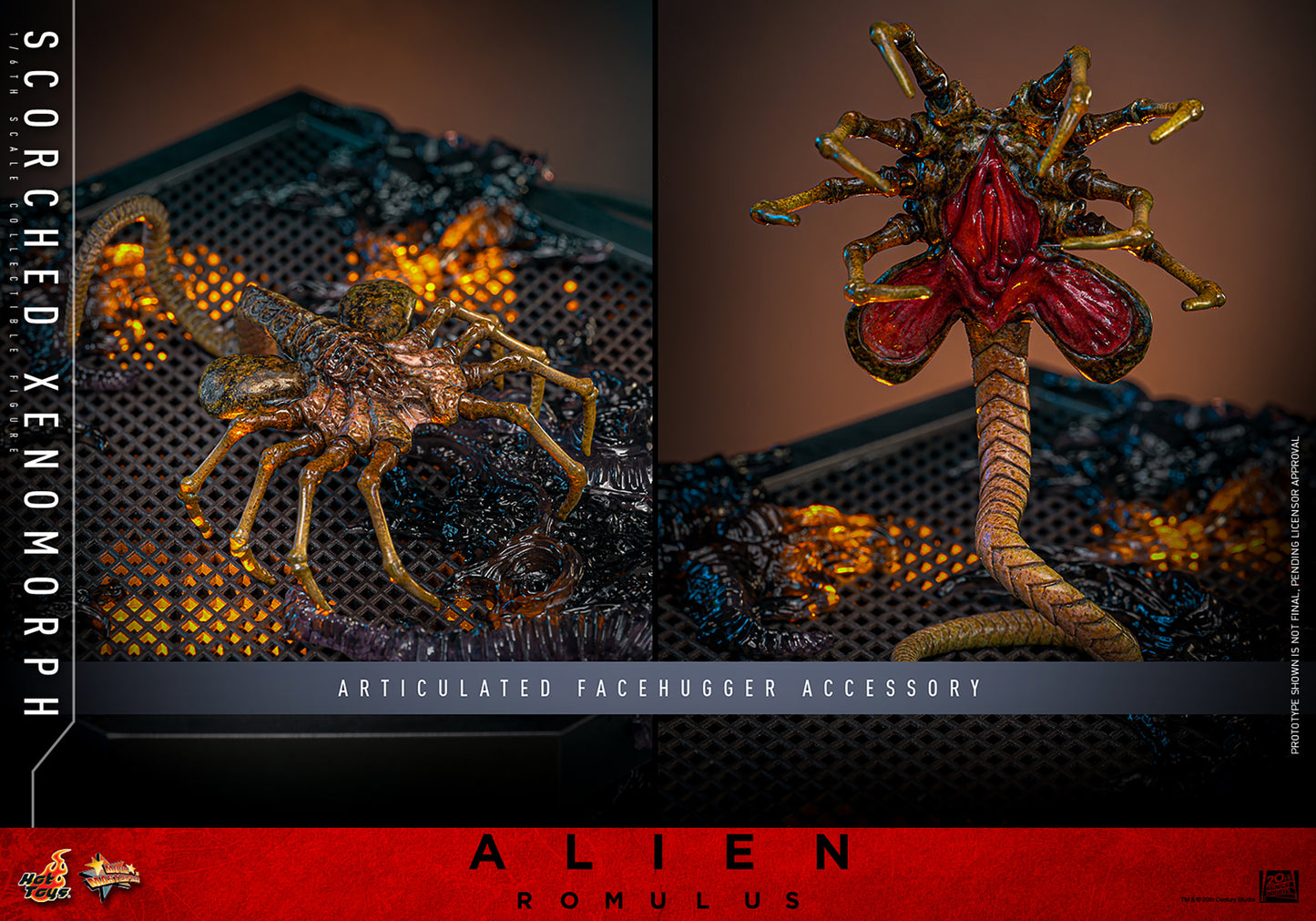 Scorched Xenomorph Sixth Scale Figure