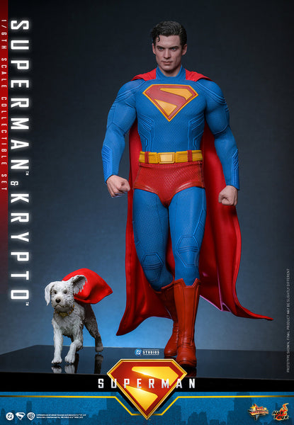 Hottoys SIXTH SCALE スーパーマン　ジャンク Superman & Krypto Sixth Scale Figure Set – Alter Ego Comics
