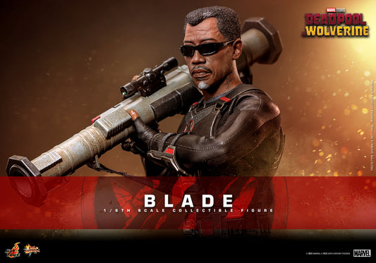 Blade Sixth Scale Figure (Collector Edition) - Hot Toys (Display Piece)