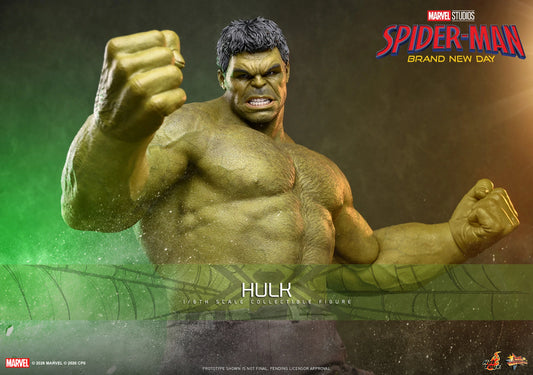 Hulk Sixth Scale Collectible Figure by Hot Toys