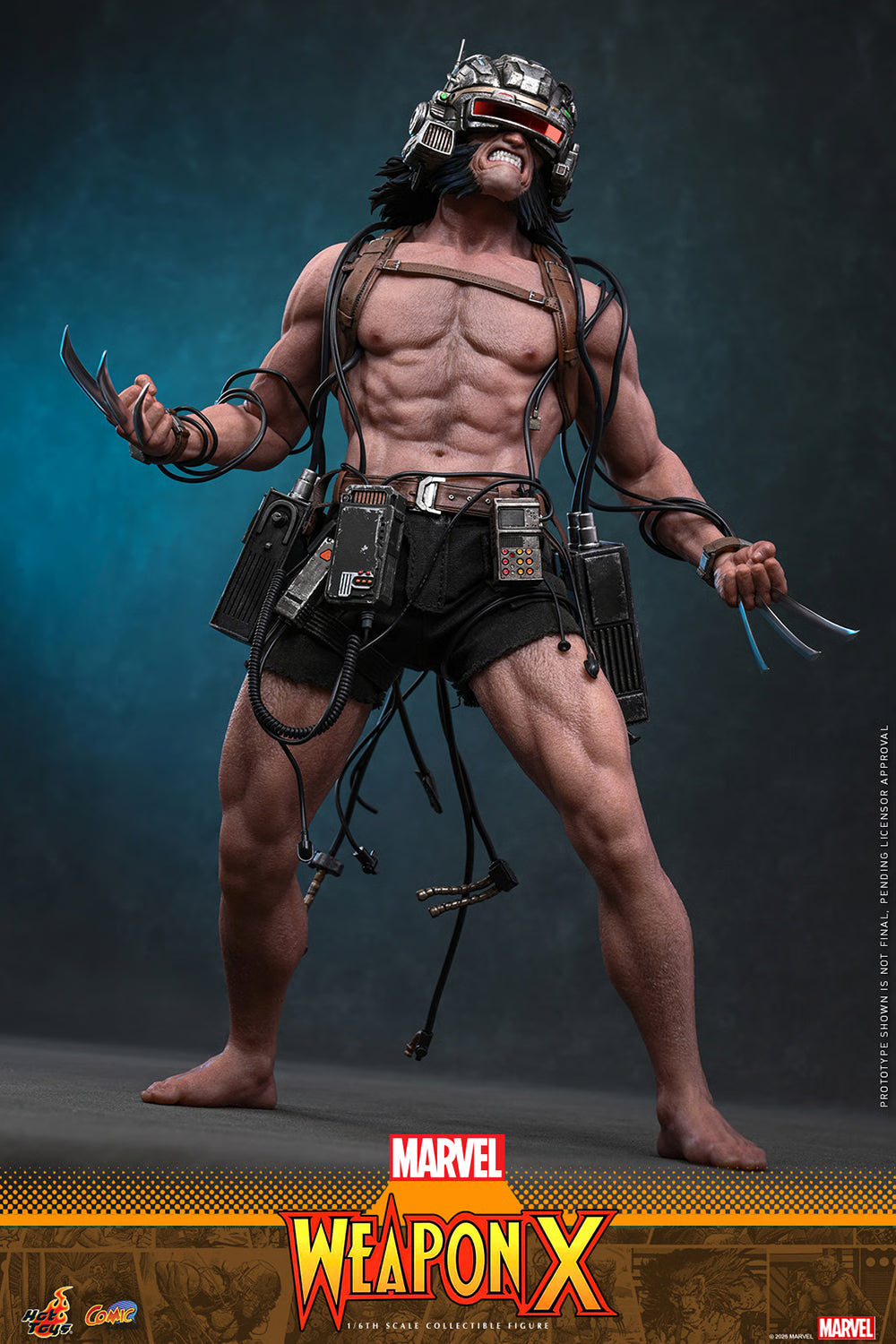 Weapon X Hot Toys Sixth Scale Figure
