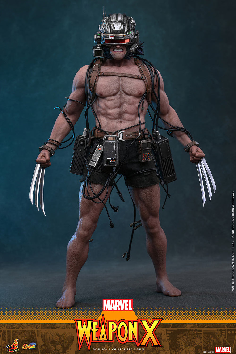 Weapon X Hot Toys Sixth Scale Figure
