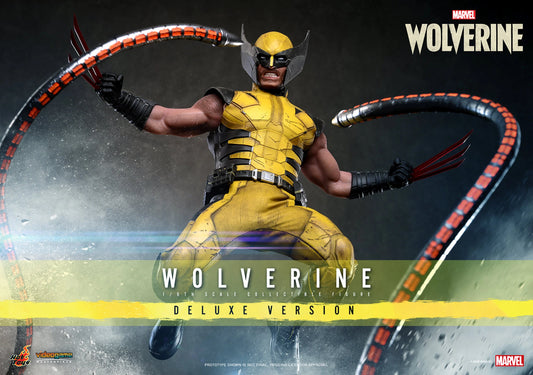 Wolverine (Deluxe Version) Sixth Scale Collectible Figure by Hot Toys