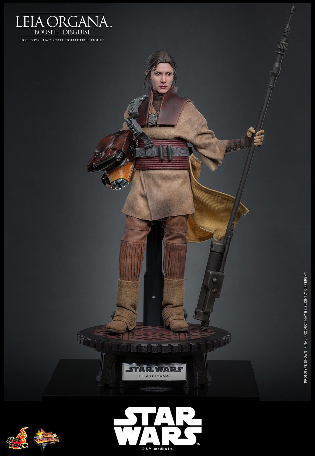 Leia Organa (Boushh Disguise) Sixth Scale Figure by Hot Toys