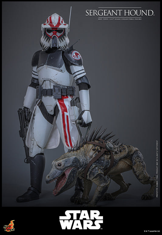 Hot Toys Sergeant Hound Sixth Scale Figure