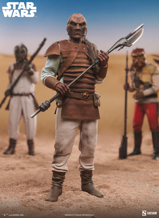 Pagetti Rook Sixth Scale Figure