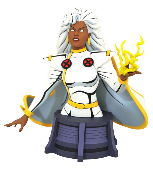 X-Men The Animaged Series Storm Bust