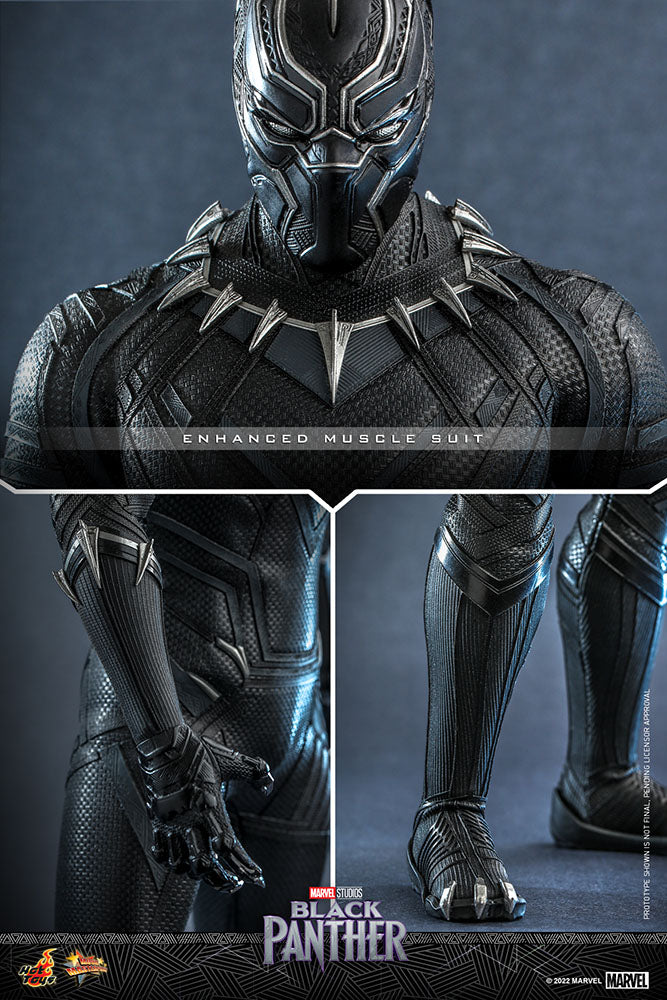 Black Panther Sixth Scale Figure by Hot Toys