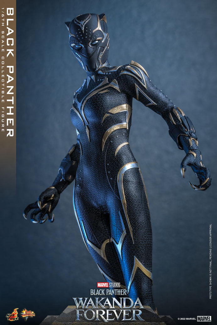 Black Panther (Wakanda Forever) 1/6 Scale Figure by Hot Toys