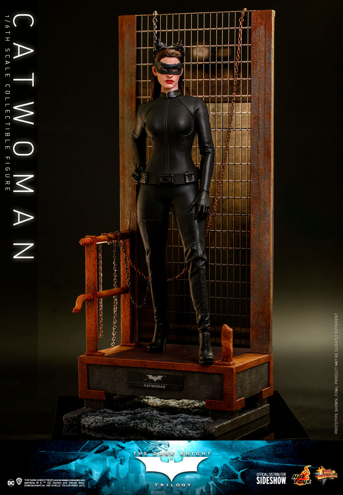 Hot Toys Catwoman 1/6 Scale Figure