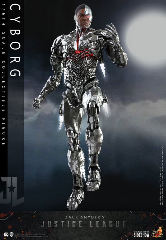 Hot Toys Cyborg 1/6 Scale Figure