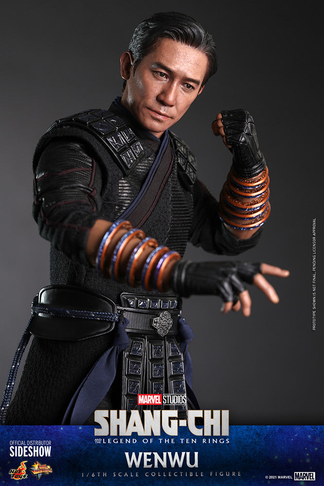 Hot Toys Shang-Chi Wenwu 1/6 Scale Figure